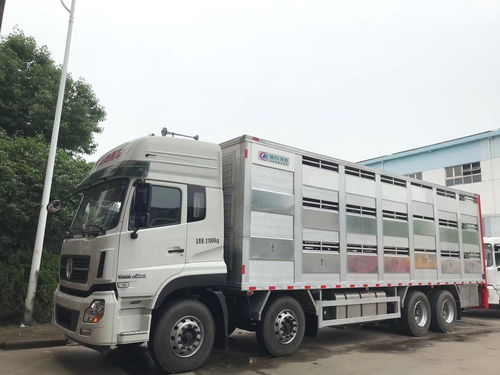 甘孜州生豬運輸車 高原畜牧流通的專業保障